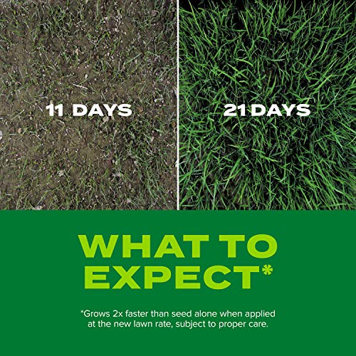 Scotts Turf Builder Rapid Grass, Grass Seed and Fertilizer Tall Fescue Mix, 16 lbs.