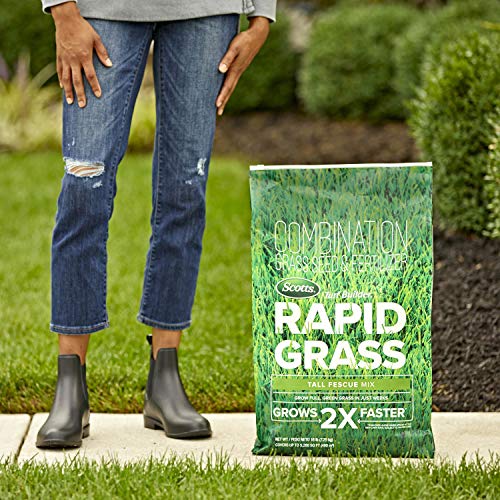 Scotts Turf Builder Rapid Grass, Grass Seed and Fertilizer Tall Fescue Mix, 16 lbs.