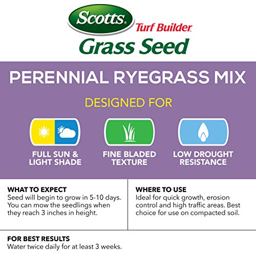 Scotts Turf Builder Grass Seed Perennial Ryegrass Mix Repairs Bare Spots, Ideal for High Traffic and Erosion Control, 7 lbs.