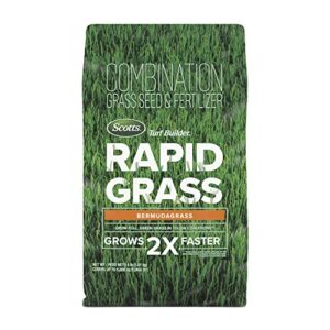 scotts turf builder rapid grass bermudagrass – combination seed and fertilizer, 4 lbs, covers up to 5,000 sq. ft.