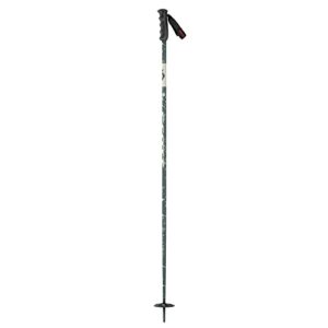 scott team issue srs ski poles (dark green, 125) 2022/23