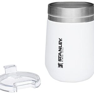 Stanley Aluminum 10-10292-006 The Everyday GO Tumbler Polar 10OZ /.29L