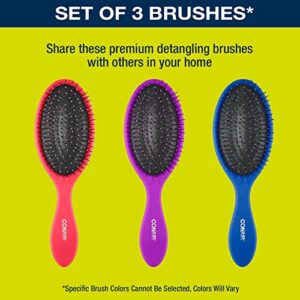 Conair Gently Detangle Hair Brush, Dry and Wet Hairbrush with Flexible Bristles, Color May Vary, 3 Count