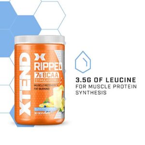 XTEND Ripped BCAA Powder Blueberry Lemonade | Cutting Formula + Sugar Free Post Workout Muscle Recovery Drink with Amino Acids | 7g BCAAs for Men & Women | 30 Servings