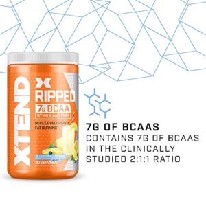 XTEND Ripped BCAA Powder Blueberry Lemonade | Cutting Formula + Sugar Free Post Workout Muscle Recovery Drink with Amino Acids | 7g BCAAs for Men & Women | 30 Servings