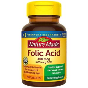 nature made folic acid 400 mcg 250 count (4 pack)