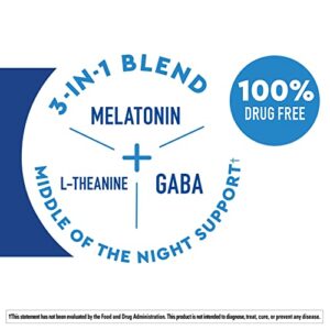 Nature Made Wellblends Back to Sleep, Melatonin 1 mg, L-theanine, and GABA, Sleep Supplement, 40 Fast Dissolve Tablets