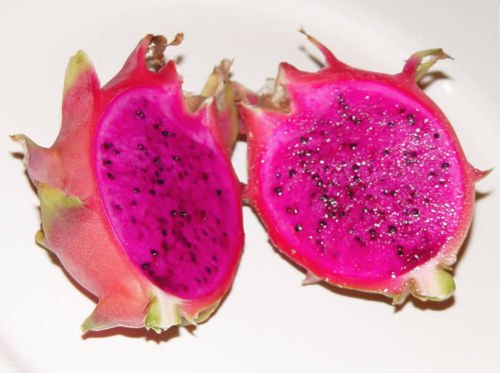 2 PURPLE DRAGON FRUIT cutting plant (9 Inch)