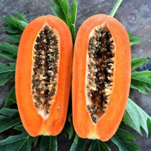 50 caribbean red papaya seeds fast growing fruit tree seeds for planting