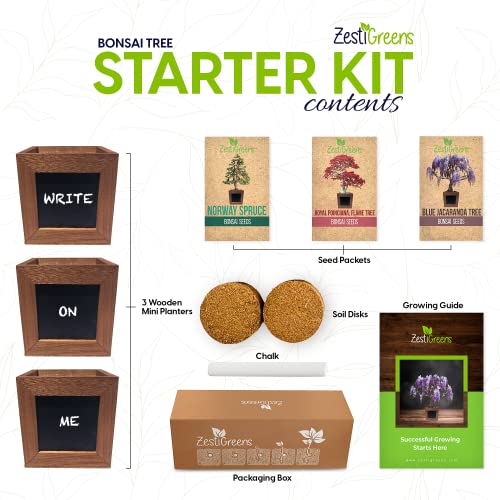 Bonsai Starter Kit - Gardening Gift for Women & Men - Bonsai Tree Growing Garden Crafts Hobby Kits for Adults, Unique DIY Hobbies for Plant Lovers