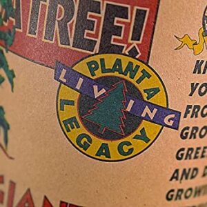 Giant Sequoia | Tree Seed Grow Kit | The Jonsteen Company