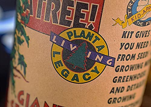 Giant Sequoia | Tree Seed Grow Kit | The Jonsteen Company