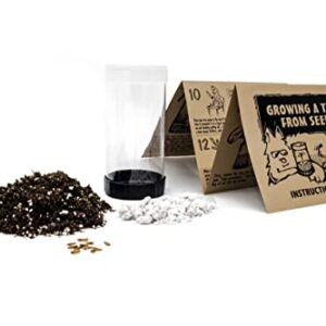 Giant Sequoia | Tree Seed Grow Kit | The Jonsteen Company