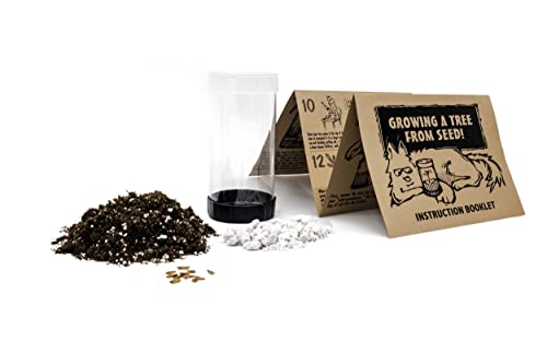 Giant Sequoia | Tree Seed Grow Kit | The Jonsteen Company