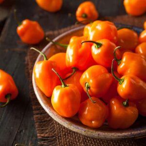 hot pepper seeds (organic) – habanero orange – 1 ounce – vegetable seeds, heirloom seed, organic seed easy to grow & maintain, container garden
