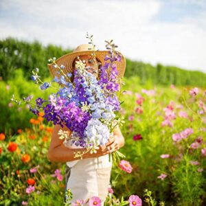 Rocket Larkspur Seeds - Tall Mix - 1 Pound - Pink/Purple/White Flower Seeds, Heirloom Seed, Open Pollinated Seed Attracts Bees, Attracts Butterflies, Attracts Hummingbirds, Attracts Pollinators