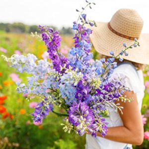 Rocket Larkspur Seeds - Tall Mix - 1 Pound - Pink/Purple/White Flower Seeds, Heirloom Seed, Open Pollinated Seed Attracts Bees, Attracts Butterflies, Attracts Hummingbirds, Attracts Pollinators