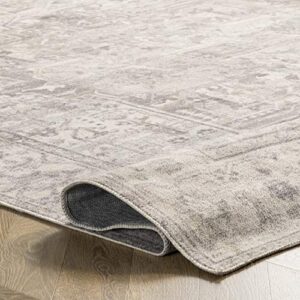 NuLOOM Brielle Machine Washable Vintage Medallion Area Rug, 8' x 10', Grey