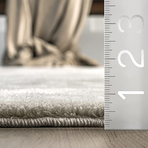 nuLOOM Loni Solid Machine Washable Shag Area Rug, 4' x 6', Beige