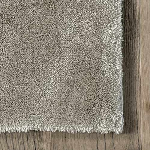 nuLOOM Loni Solid Machine Washable Shag Area Rug, 4' x 6', Beige