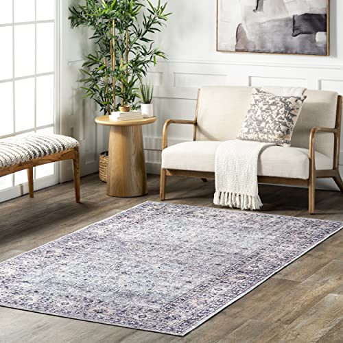 nuLOOM Indy Vintage Stain-Resistant Machine Washable Area Rug, 8' x 10', Grey