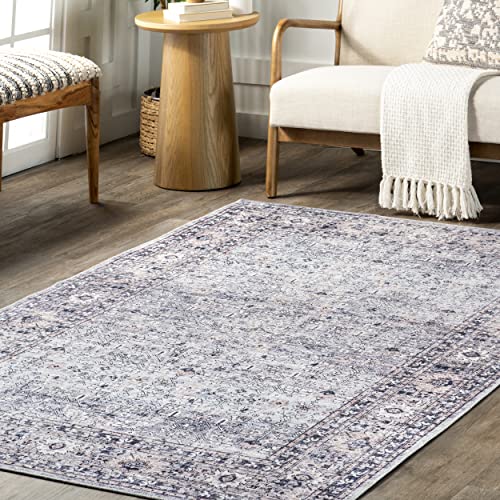 nuLOOM Indy Vintage Stain-Resistant Machine Washable Area Rug, 8' x 10', Grey