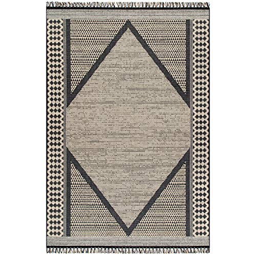 nuLOOM Nicole Modern Diamond Indoor/Outdoor Area Rug, 4 ft x 6 ft, Grey