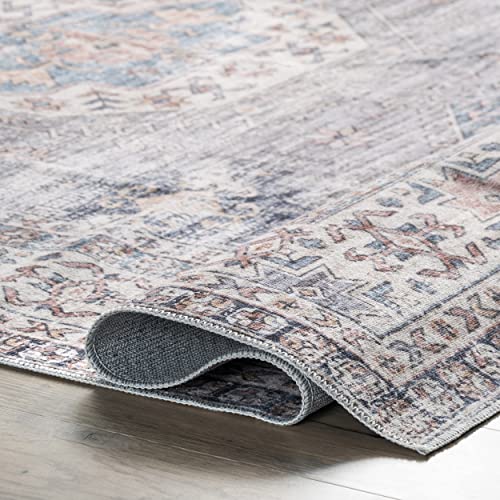 nuLOOM Drina Machine Washable Distressed Area Rug