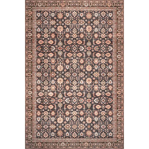 nuLOOM Cathie Persian Floral Machine Washable Area Rug, 8' x 10', Beige