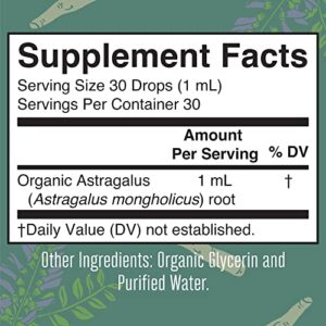 USDA Organic Astragalus Root Liquid Drops & USDA Organic Probiotic Gummies Bundle by MaryRuth's | Immune, Focus, and Cardiovascular Support | Digestive Support | Gut Health Supplement