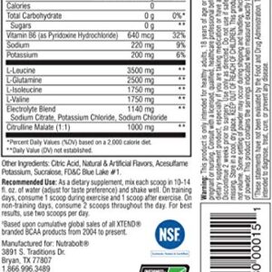 XTEND Original BCAA Powder Blue Raspberry Ice - Sugar Free Post Workout Muscle Recovery Drink with Amino Acids - 7g BCAAs for Men & Women - 30 Servings