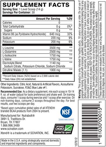 XTEND Original BCAA Powder Blue Raspberry Ice - Sugar Free Post Workout Muscle Recovery Drink with Amino Acids - 7g BCAAs for Men & Women - 30 Servings