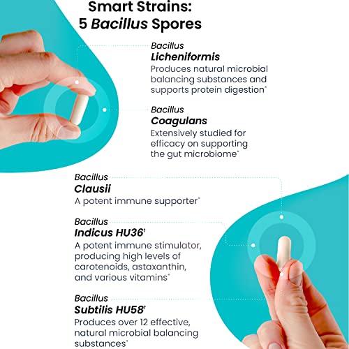 ONFIPOK MI-CR0BI0ME-Labs Spore-Based Probiotics - Daily Probiotic Supplement for Men & Women - 5 Bacillus Strains for Immune & Gut Health - Vegan-Friendly(60 Capsules)