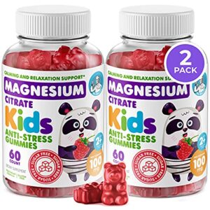 kids magnesium gummies sugar-free – calm magnesium gummies supplement for children, sugar-free magnesium calm chews for kids & adults (60 count (pack of 2) 120 count)