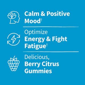 Garden of Life Stress Relief Gummies for Kids, Non-GMO Supplement for Calm & Positive Mood, Berry Citrus 60 Count, Vegan Energy Support L-Theanine Lavender Gummy Vitamin, Dr Formulated, 30 Day Supply