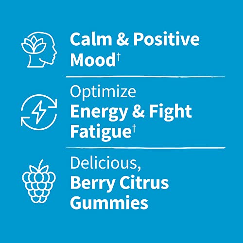 Garden of Life Stress Relief Gummies for Kids, Non-GMO Supplement for Calm & Positive Mood, Berry Citrus 60 Count, Vegan Energy Support L-Theanine Lavender Gummy Vitamin, Dr Formulated, 30 Day Supply