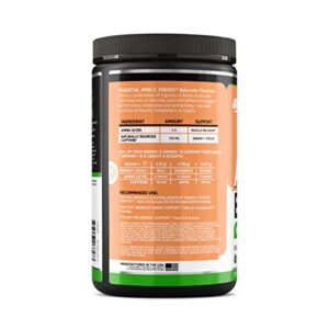 Optimum Nutrition Amino Energy Naturally Flavored Powder, Pre Workout, BCAAs, Amino Acids, Keto Friendly, Green Tea Extract, Energy Powder - Peach Lemonade, 25 Servings