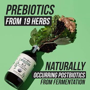 Flora Biome - Live Probiotic, Prebiotic & Postbiotic – Organic, Fermented Live-Culture – 10 Probiotic Strains, 19 Fermented Herbs, 50 Billion CFU - Complete Gut Health & Microbiome Optimizer (16 oz)