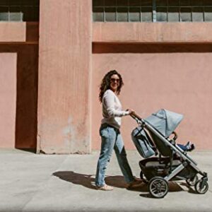 UPPAbaby Cruz V2 Stroller - Jake (Black/Carbon/Black Leather) + Mesa Infant Car Seat - Jake (Black)