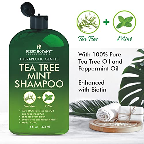 Tea Tree Mint Shampoo and Conditioner - contains Pure Tea Tree Oil & Peppermint Oil - Fights Hair Loss, Promotes Hair Growth, Fights Dandruff, Lice & Itchy Scalp - Men & Women Sulfate Free -16 oz x 2