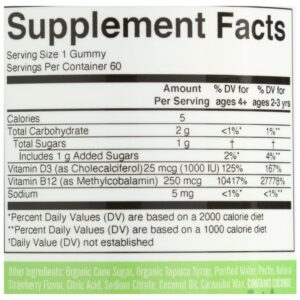 Vitamin D3 + Vitamin B12 | 2 Month Supply | Vitamin D & B12 Vitamin Supplements for Adults & Kids | Supports Bone Health | Promotes Energy Boost | Vegan | Non-GMO | Gluten Free | 60 Servings