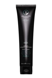 paul mitchell awapuhi wild ginger keratin intensive treatment, rebuilds + repairs, for dry, damaged + color-treated hair,5.1 fluid ounce