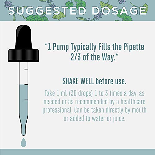 USDA Organic Ginkgo Leaf Drops & Adults Adrenal & Focus Support Drops Bundle by MaryRuth's | Traditional Herb Used for Circulatory System & Brain Health | Herbal Supplement for Brain & Memory Drops