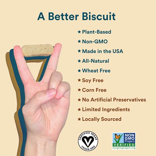 Benefit Biscuits, All Natural Dog Treats, Certified Vegan, Non GMO, Wheat Free, Healthy Dog Biscuits, Made in USA (Pumpkin, Large Bag (1lb))