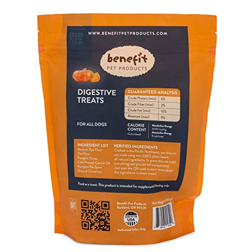 Benefit Biscuits, All Natural Dog Treats, Certified Vegan, Non GMO, Wheat Free, Healthy Dog Biscuits, Made in USA (Pumpkin, Large Bag (1lb))
