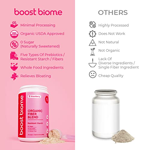 Boost Biome Organic Fiber Blend – Resistant Starch Powder with Green Banana Flour, Oat, Black Bean – Supports Bloating Relief, Gut Health, Leaky Gut, High Fiber & Prebiotic (30 Servings, Strawberry)