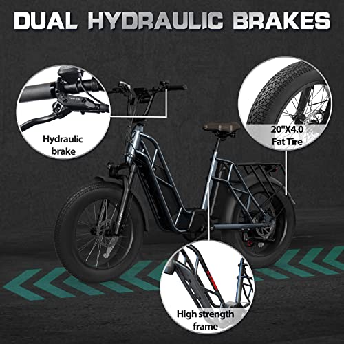 Fucare Gemini/Gemini X 750W Electric Bike for Adults 31MPH Max Speed 48V 30Ah/20.8Ah Dual Lithium Battery 20Inch 4.0" All-Terrain Fat Tire Commute E-Bike with 5.3" LCD Display Bicycles