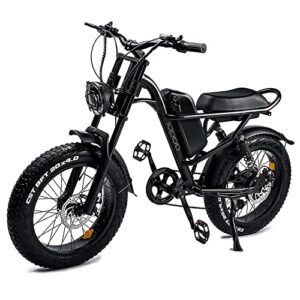 riding’times electric bike for adults, 20″ fat tire ebike, 750w powerful motor with removable battery, 30mph & 37 miles long range off road snow beach mountain electric bicycle