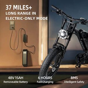 Riding'times Electric Bike for Adults, 20" Fat Tire Ebike, 750W Powerful Motor with Removable Battery, 30MPH & 37 Miles Long Range Off Road Snow Beach Mountain Electric Bicycle