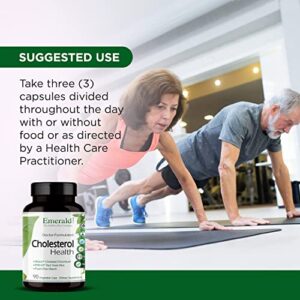 Emerald Labs Cholesterol Health - Featuring CoQ10, Flush-Free Niacin, RYR-VA, and Garlic for Heart and Circulatory Support - 90 Vegetable Capsules